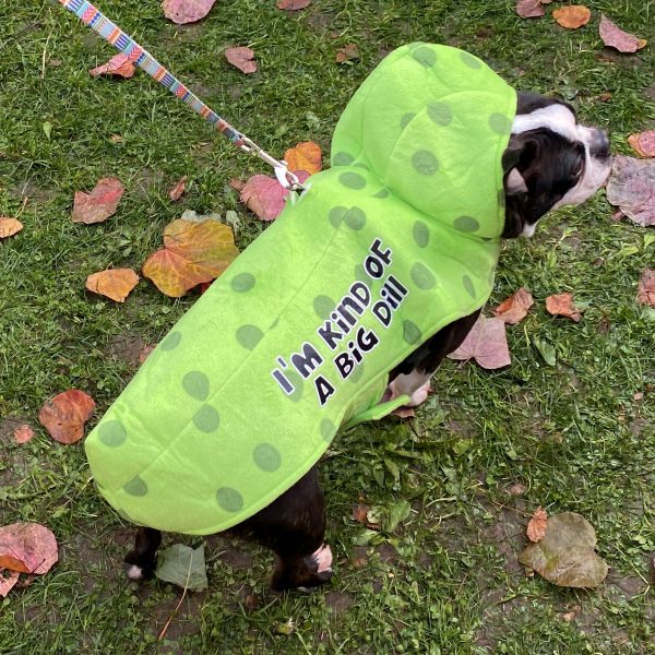 A Boston Terrier dressed as a pickle steals the show.