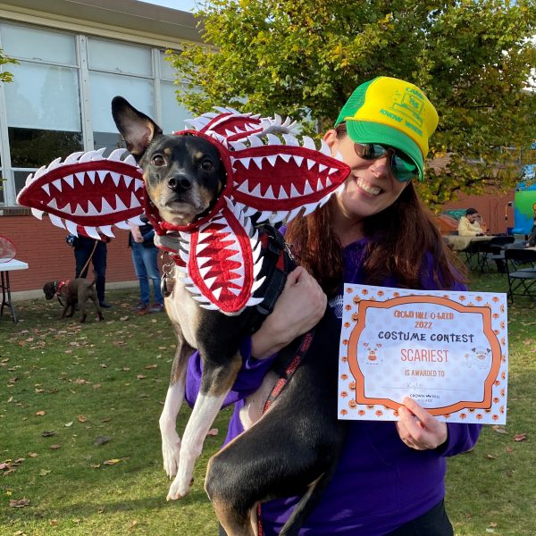 A woman holds a mediums sized Terrier who is dressed as the Demogorgon. She displays their award certificate for Scariest Costume.