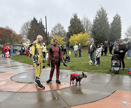Pet parade superhero Sasha Moon Salon