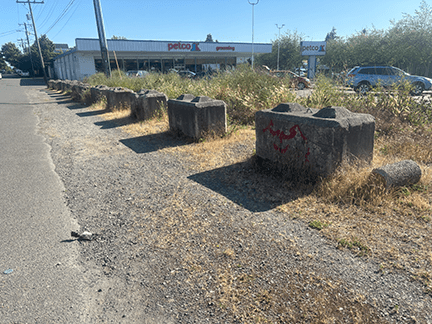 petco lot Sasha Moon Salon