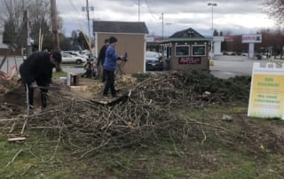 Social Distance Gardening