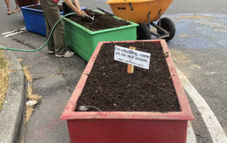 filling the planters