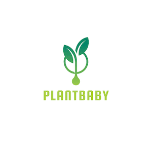plant baby logo