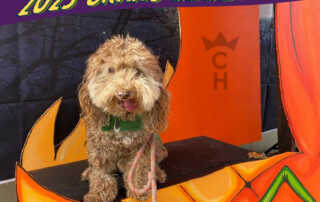 Rowlf the dog relishes danger as he calmly licks his chops while posing in the mouth of the Terrible Pumpkin.