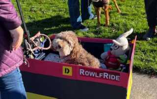 Rowlf Rapid Ride - 2023 Halloween dog parade grand marshal