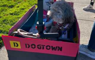 Rowlf Rapid Ride