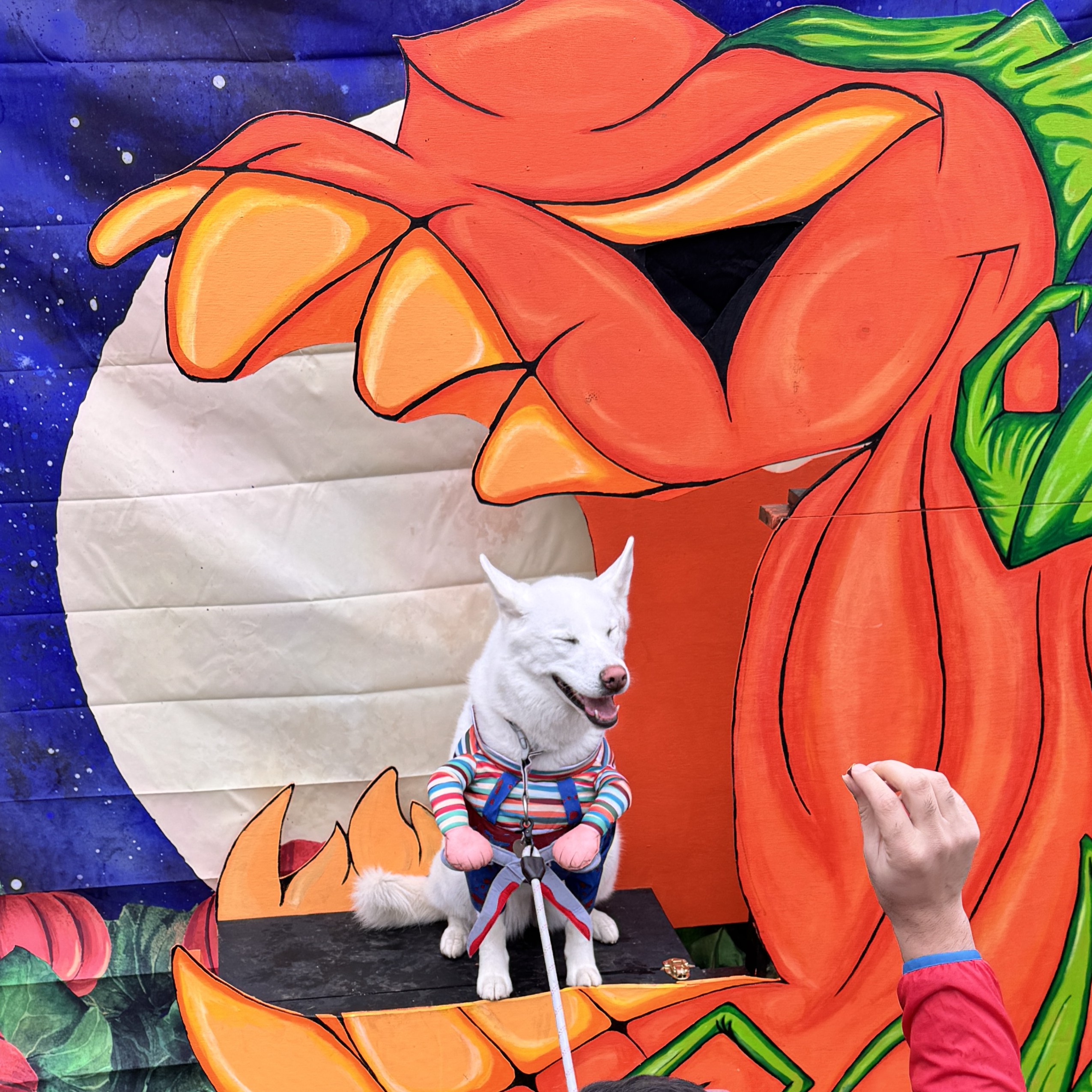 Who is scarier, Chuckie, or the Great Pumpkin?